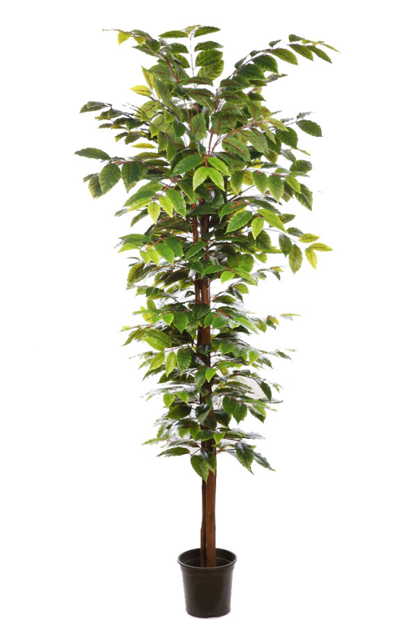 ARBOL ARTIFICIAL OLACEA 185CM