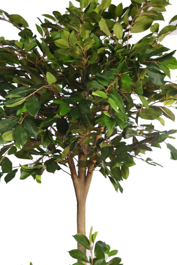 ARBOL DE FICUS RETUSA EN MACETA ARTIFICIAL 180CM - Imagen 2