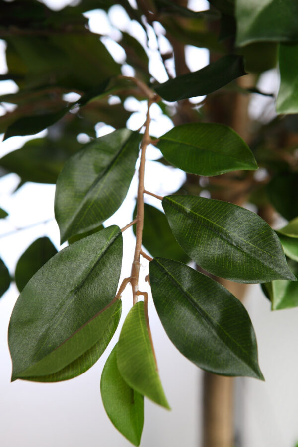 ARBOL DE FICUS RETUSA EN MACETA ARTIFICIAL 180CM - Imagen 3