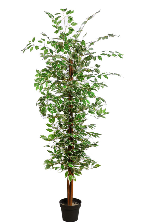 ARBOL FICUS ARTIFICIAL 180CM