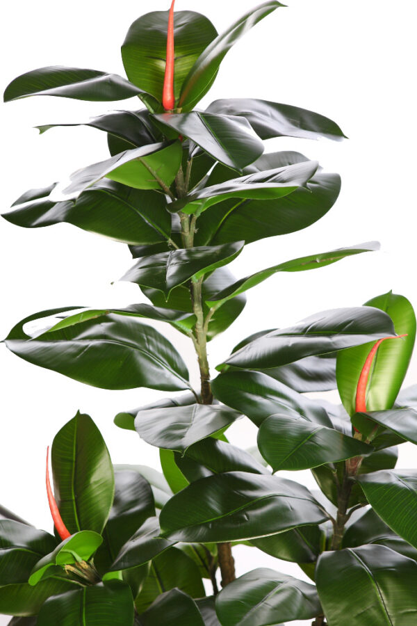 ARBOL DE FICUS ARTIFICIAL 130CM - Imagen 3