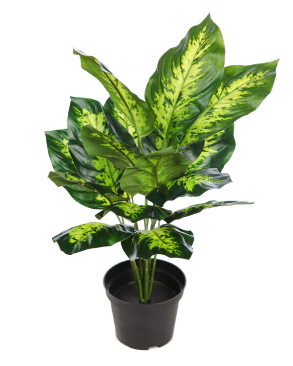 PLANTA CON MACETA DIEFFENBACHIA 45CM