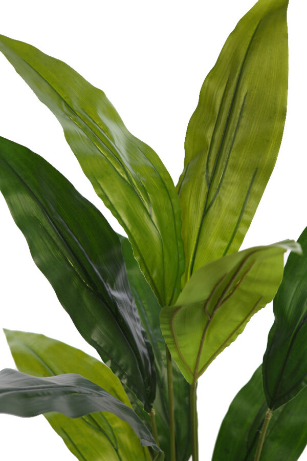 PLANTA DE ASPIDISTRA ARTIFICIAL 100CM - Imagen 2