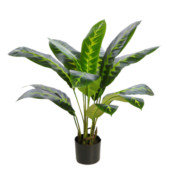 PLANTA DIFEMBACHIA ARTIFICIAL 70CM