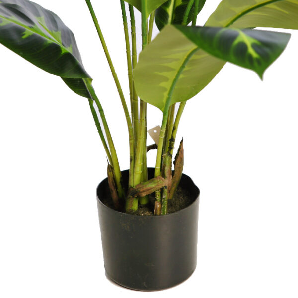 PLANTA DIFEMBACHIA ARTIFICIAL 70CM - Imagen 3