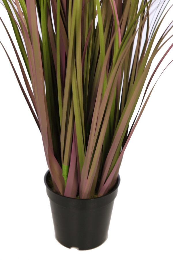 PLANTA GRAMINEA 96 CM - Imagen 2