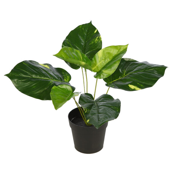 PLANTA POTHO ARTIFICIAL CON MACETA 27CM