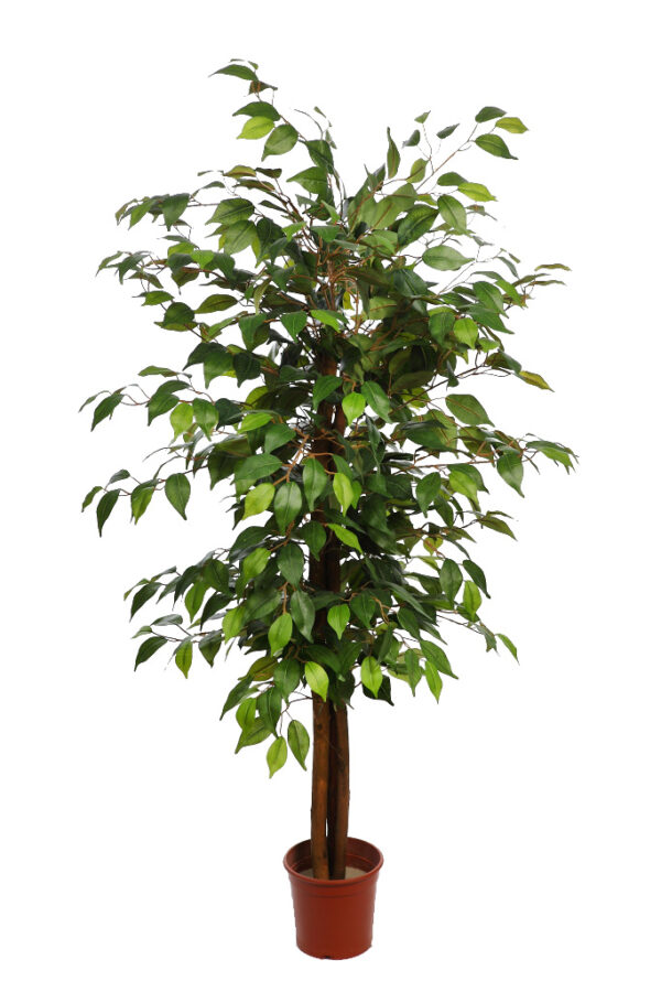 ARBOL DE FICUS ARTIFICIAL 150CM