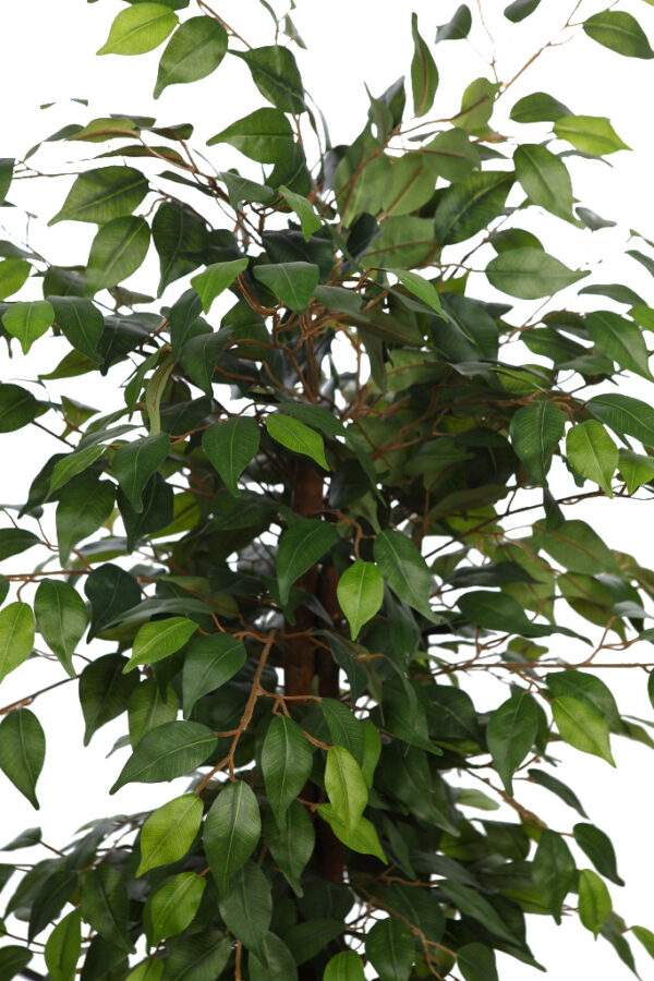 ARBOL DE FICUS ARTIFICIAL 150CM - Imagen 2