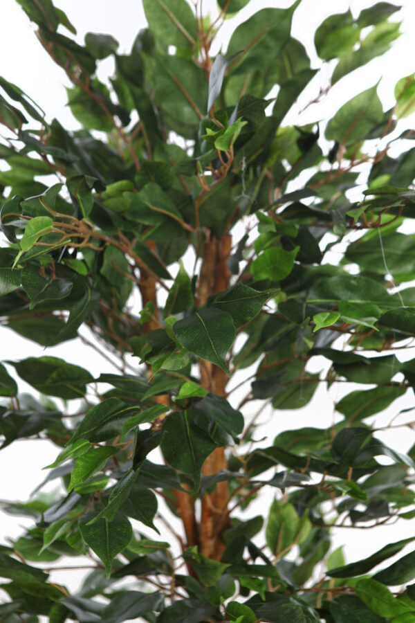 ARBOL DE FICUS ARTIFICIAL 150CM - Imagen 2