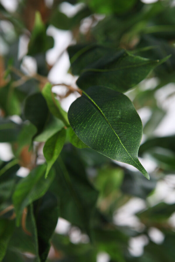 ARBOL DE FICUS ARTIFICIAL 150CM - Imagen 3