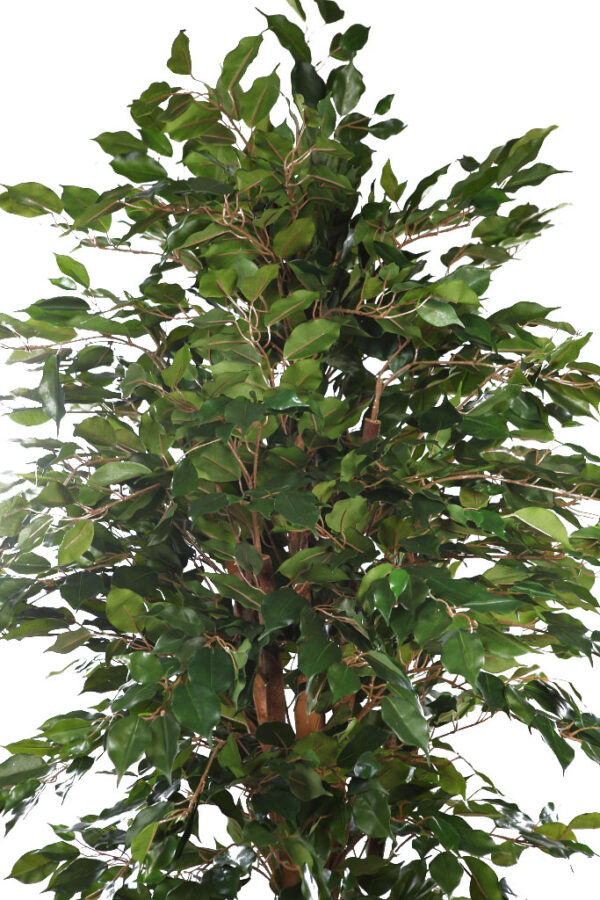 ARBOL DE FICUS ARTIFICIAL 180CM - Imagen 2