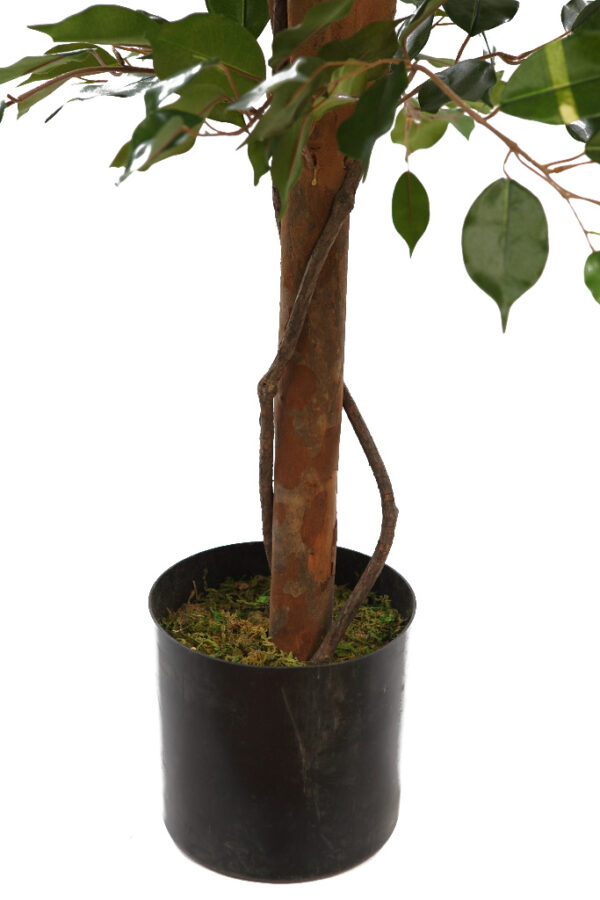 ARBOL DE FICUS ARTIFICIAL 180CM - Imagen 3