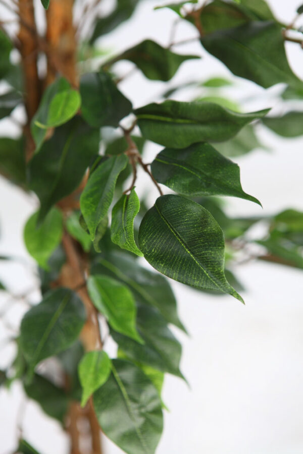 ARBOL DE FICUS ARTIFICIAL 210CM - Imagen 3