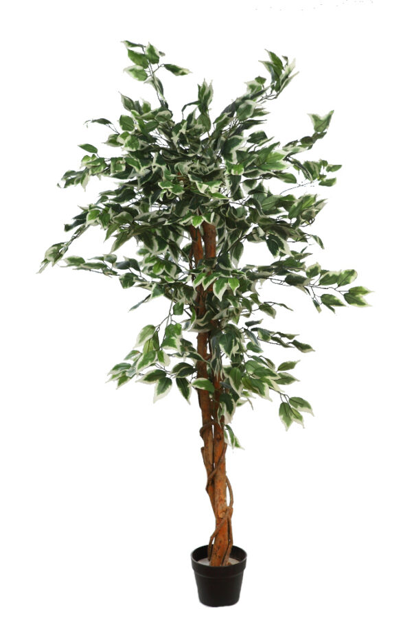 ARBOL DE FICUS BICOLOR ARTIFICIAL