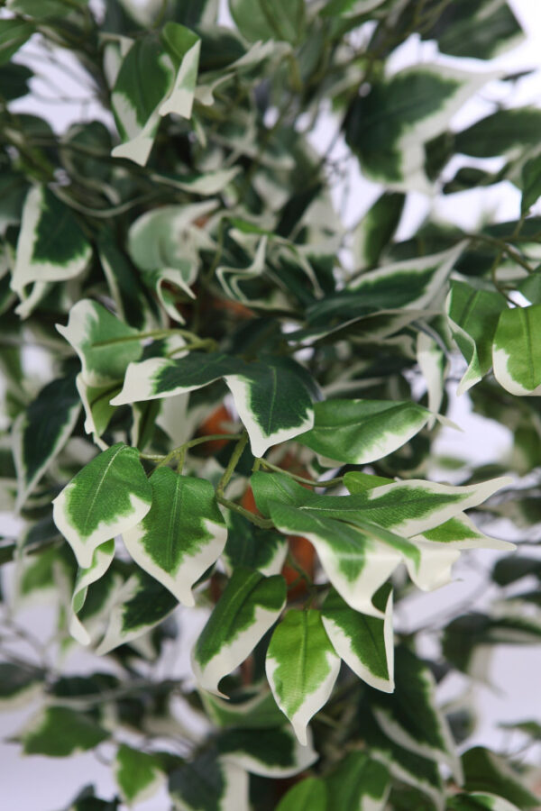 ARBOL DE FICUS BICOLOR ARTIFICIAL - Imagen 2