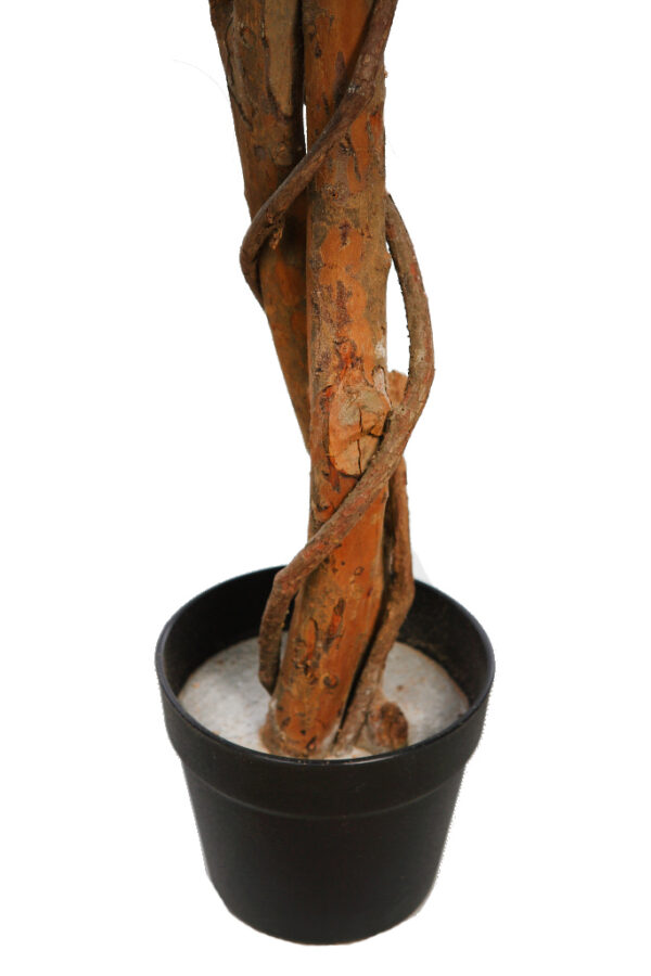 ARBOL DE FICUS BICOLOR ARTIFICIAL - Imagen 3