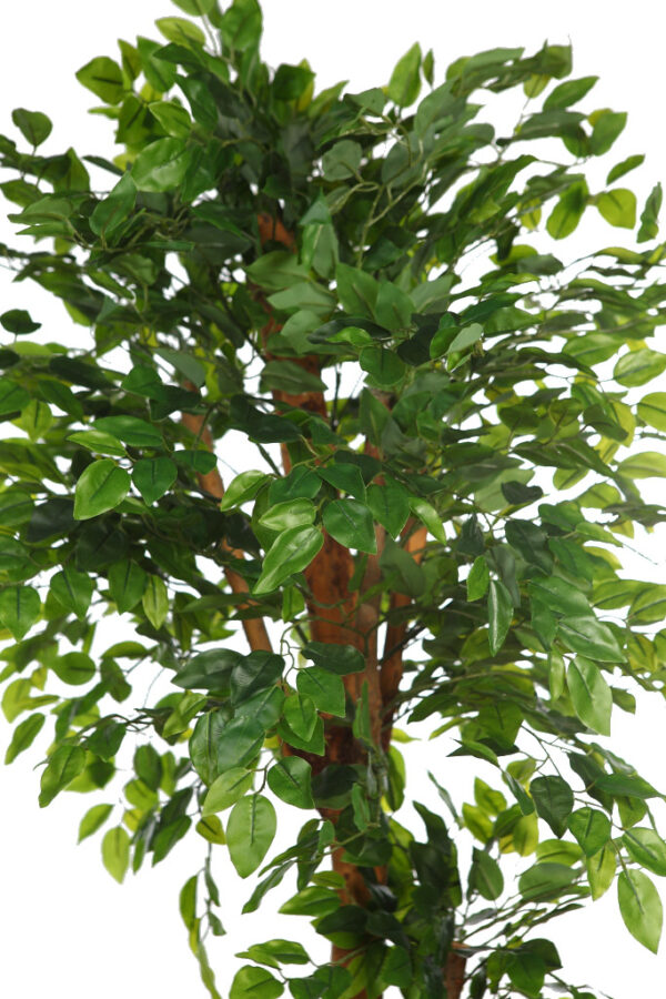 ARBOL DE FICUS VERDE ARTIFICIAL 180CM - Imagen 2