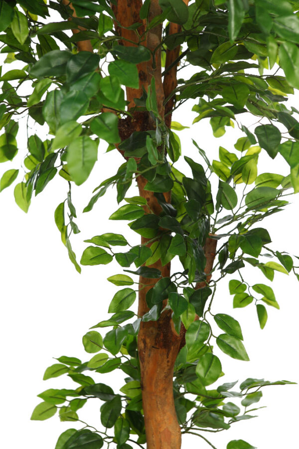 ARBOL DE FICUS VERDE ARTIFICIAL 180CM - Imagen 3