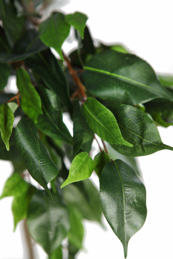 ARBOL FICUS ARTIFICIAL 160CM - Imagen 3