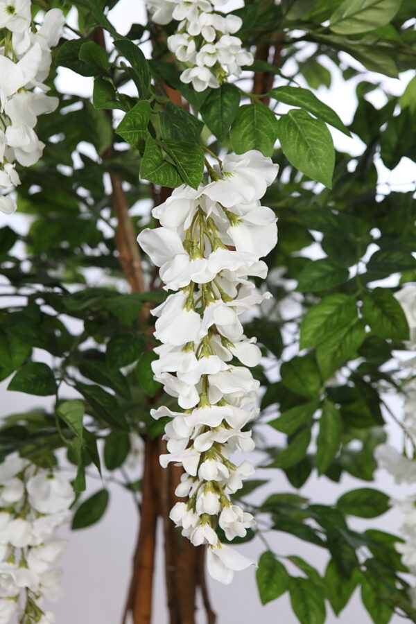 ARBOL WISTERIA ARTIFICIAL EN MACETA 190CM - Imagen 4