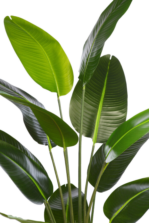 BANANERA ARTIFICIAL 180CM - Imagen 2