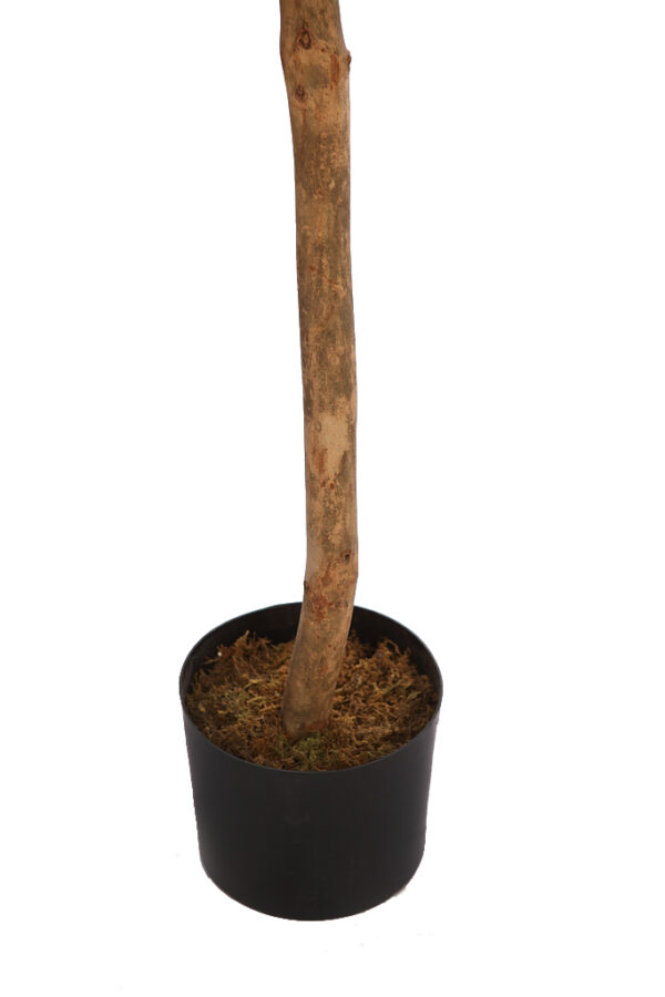 BOLA LAUREL ARTIFICIAL ENMACETA 130CM - Imagen 3