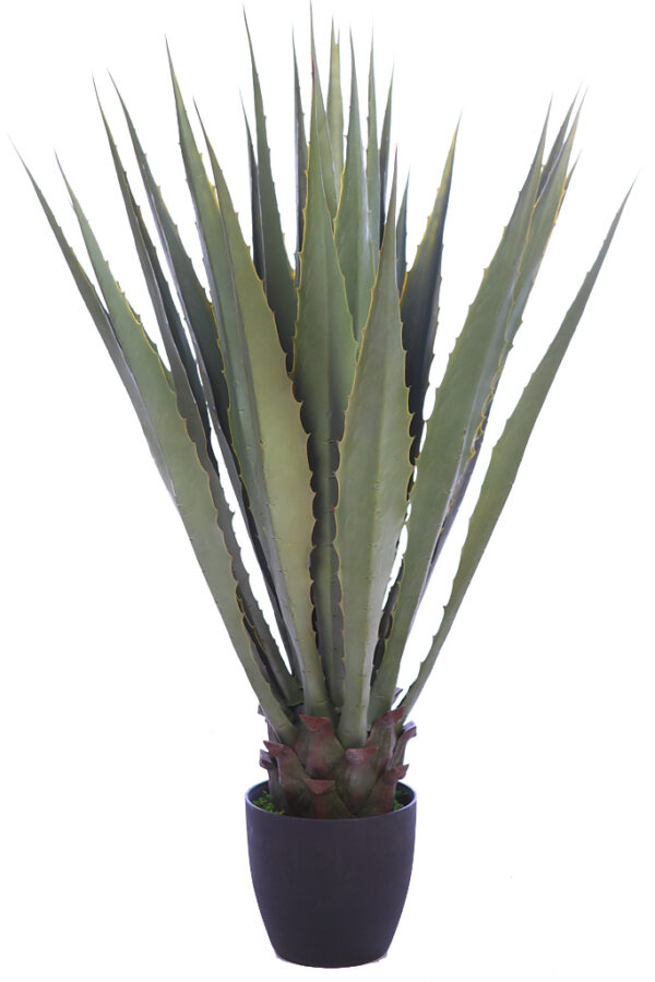 CACTUS AGAVE CON MACETA 105 CM