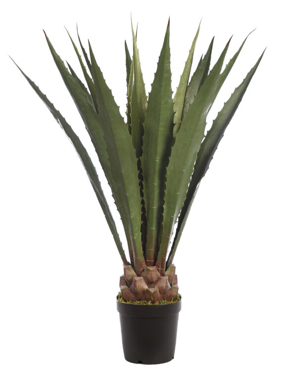 CACTUS AGAVE CON MACETA 125CM
