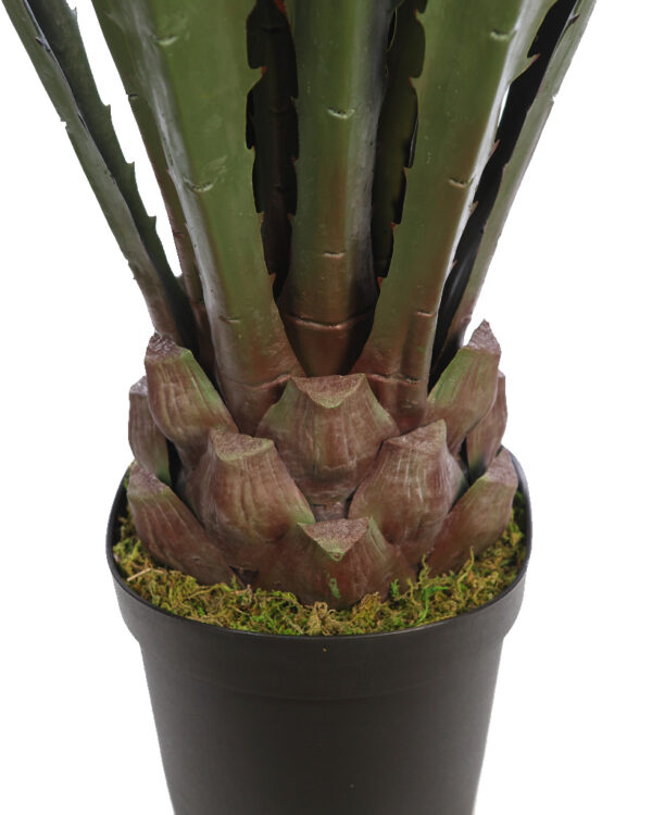 CACTUS AGAVE CON MACETA 125CM - Imagen 2