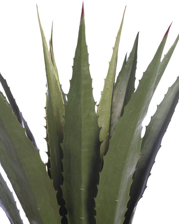 CACTUS AGAVE CON MACETA 125CM - Imagen 3