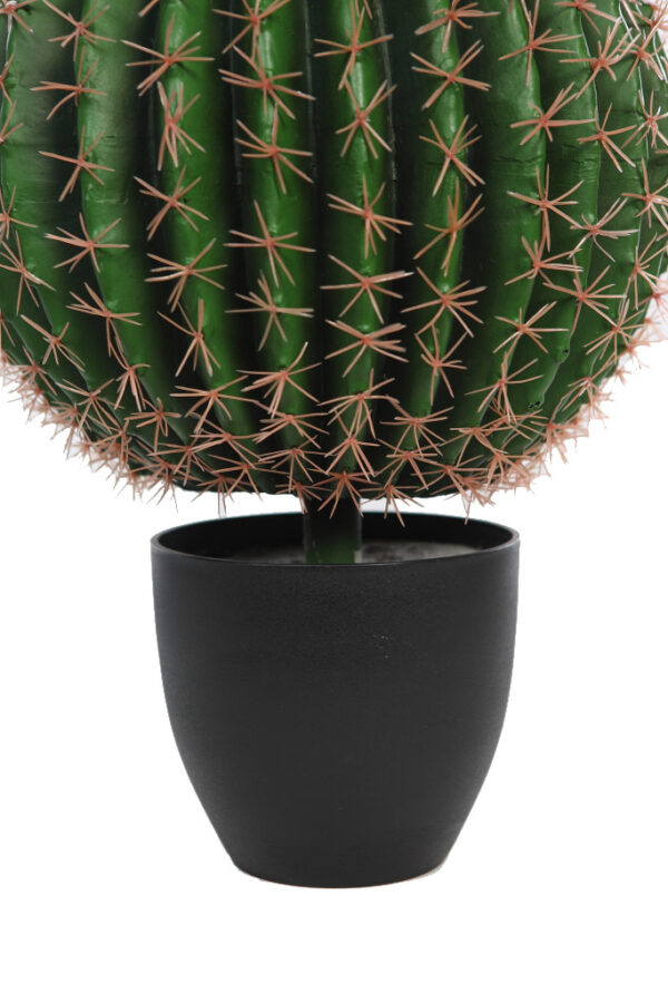 CACTUS BARRIL EN MACETA 50CM - Imagen 3