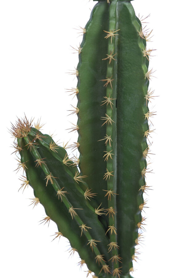 CACTUS CON MACETA 135CM - Imagen 3