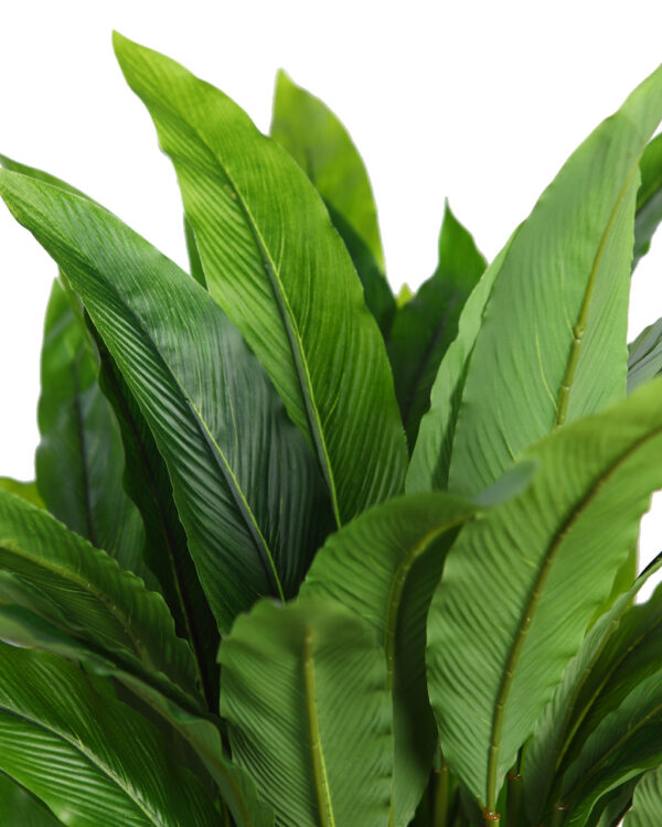 CALATHEA ARTIFCIAL EN MACETA 75CM - Imagen 2