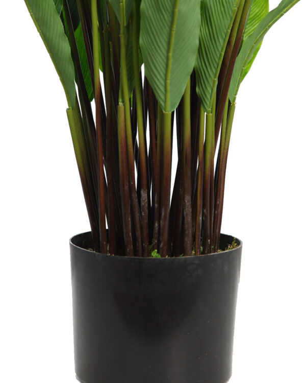 CALATHEA ARTIFCIAL EN MACETA 75CM - Imagen 3