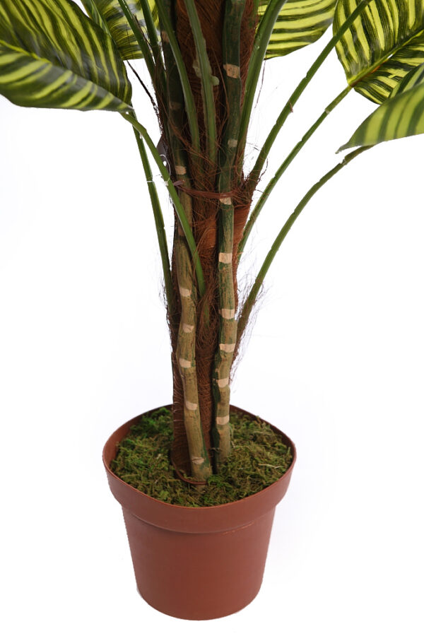 CALATHEA ARTIFICIAL EN MACETA 150CM ANCHO 70CM - Imagen 3