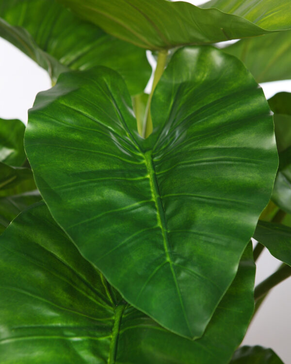 COLOCASIA ARTIFICIAL EN MACETA 100CM - Imagen 3