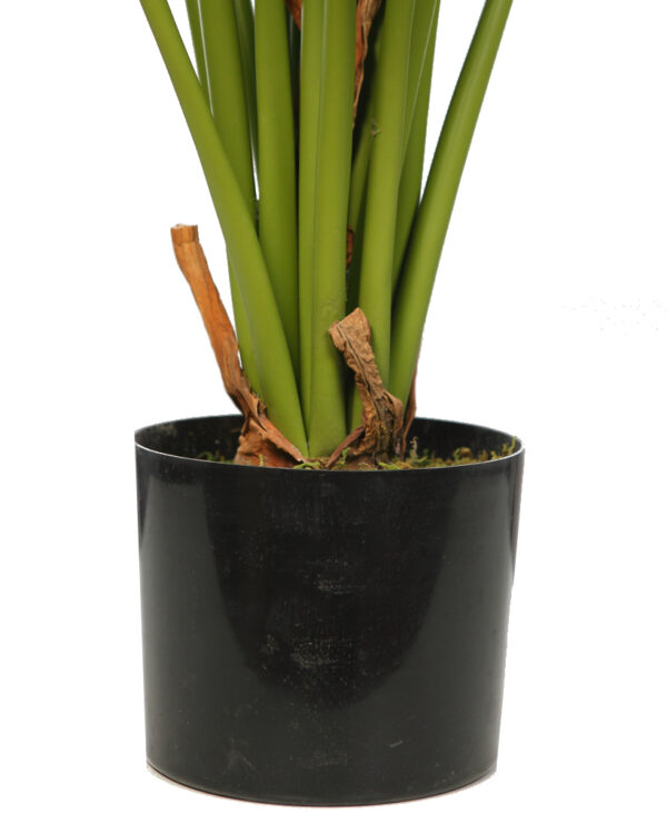 COLOCASIA ARTIFICIAL EN MACETA 100CM - Imagen 4