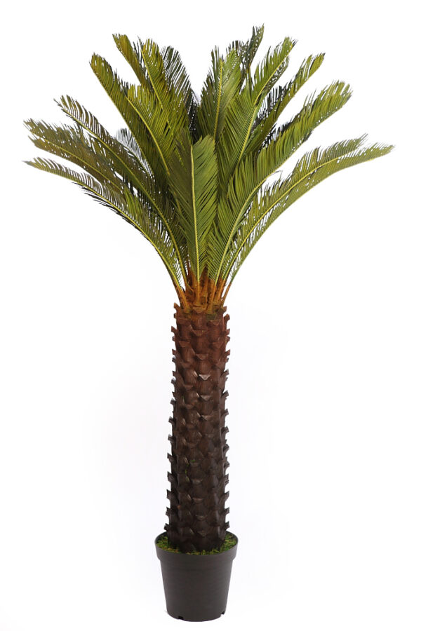 CYCA ARTIFICIAL EN MACETA 150CM ANCHO 90CM