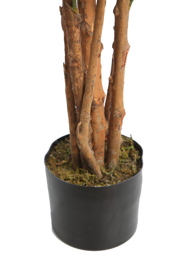 DRACENA ARTIFICIAL 120CM - Imagen 4