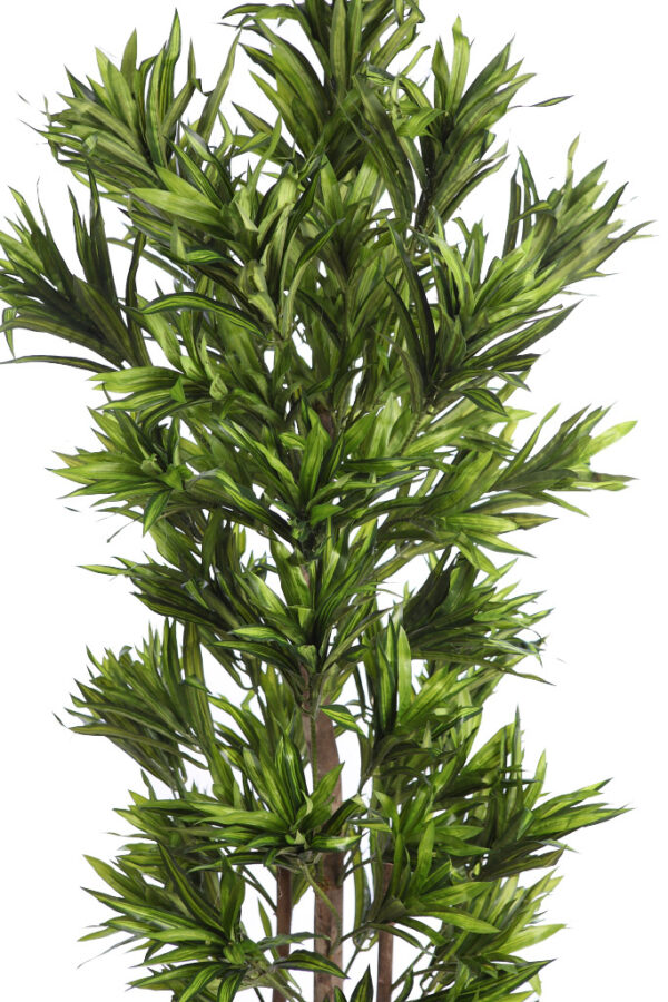 DRACENA ARTIFICIAL 150CM - Imagen 2