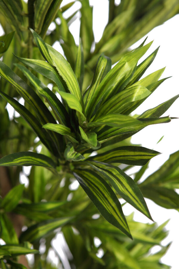 DRACENA ARTIFICIAL 150CM - Imagen 3