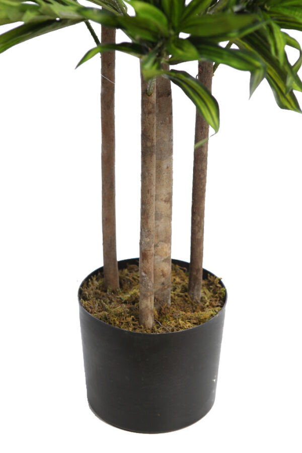 DRACENA ARTIFICIAL 150CM - Imagen 4