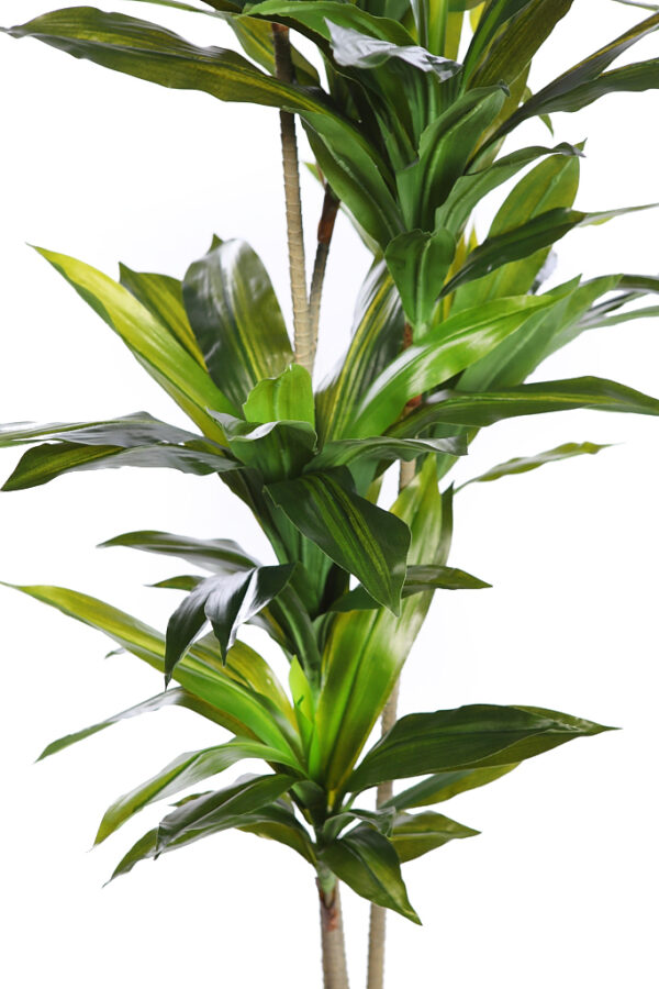 DRACENA ARTIFICIAL CON MACETA 175CM ANCHO 70CM - Imagen 2