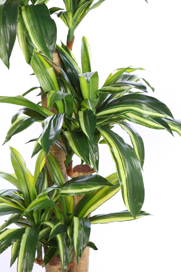 DRACENA ARTIFICIAL EN MACETA 135CM - Imagen 2