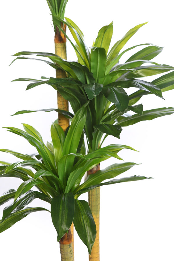 DRACENA ARTIFICIAL EN MACETA 170CM - Imagen 2