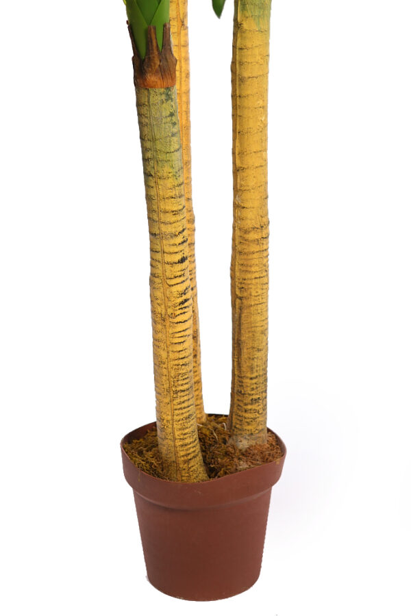DRACENA ARTIFICIAL EN MACETA 170CM - Imagen 3