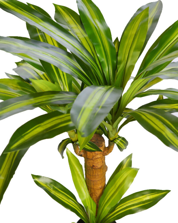 DRACENA ARTIFICIAL EN MACETA 80CM - Imagen 2