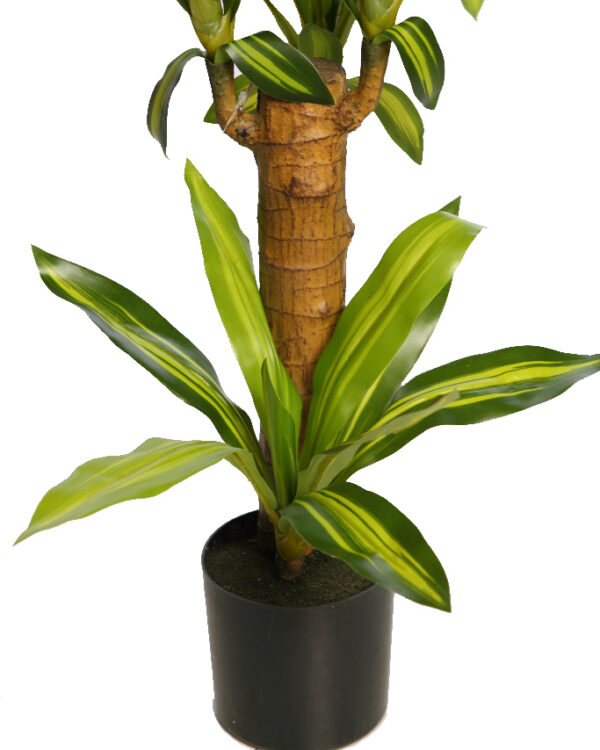 DRACENA ARTIFICIAL EN MACETA 80CM - Imagen 3
