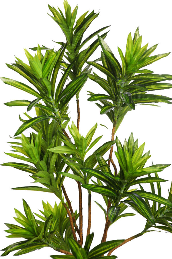 DRACENA EN MACETA ARTIFICIAL 160CM - Imagen 2